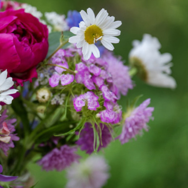 Print@Home-Thermenlandgutschein - Muttertag